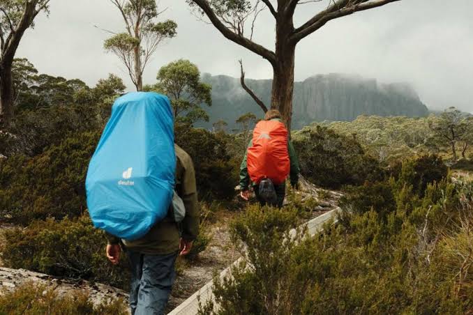 BREAKING: Runners Rescued After Getting Lost in Remote Forest During Mountain Descent